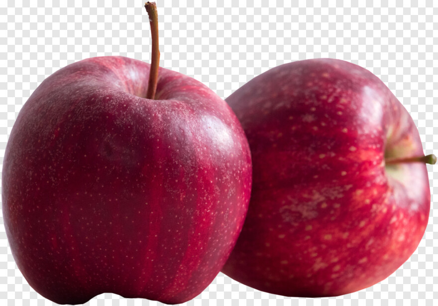  Healthy Food, Apple Fruit, Fruit Tree, Fast Food, Food Network Logo, Apple Logo