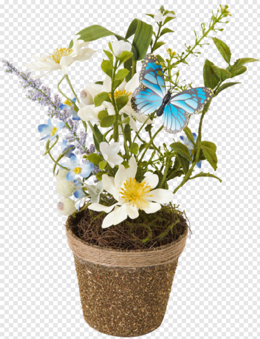 flower-pot # 539786
