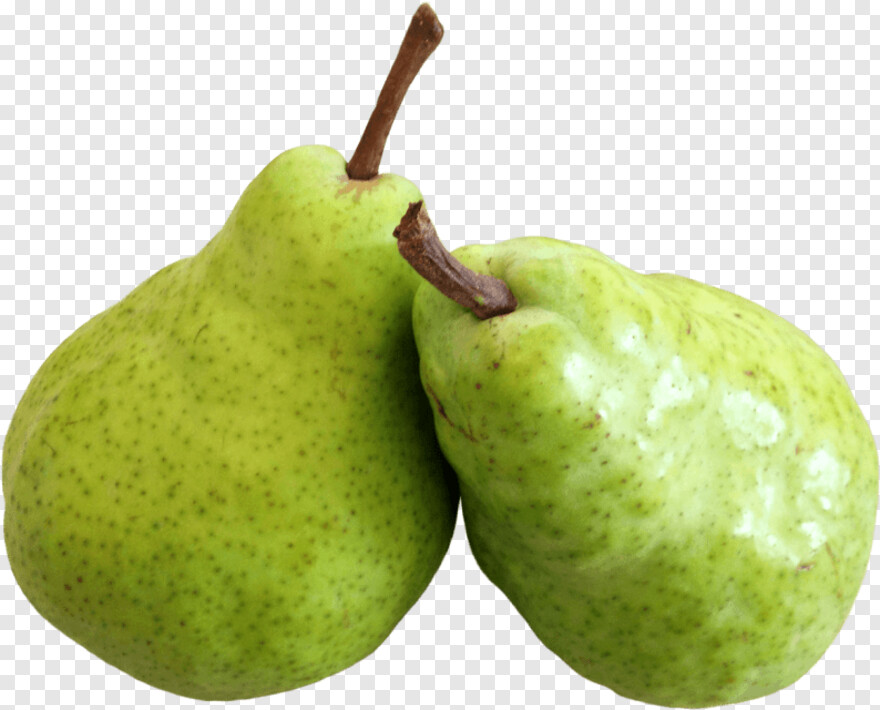 pear # 659608