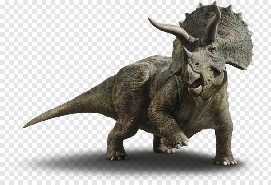 triceratops # 435223
