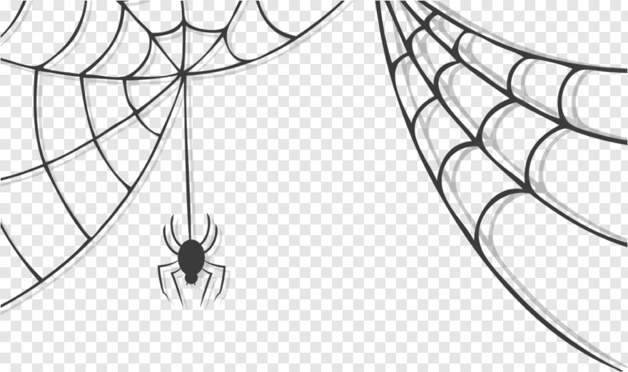 black-widow-spider # 956221