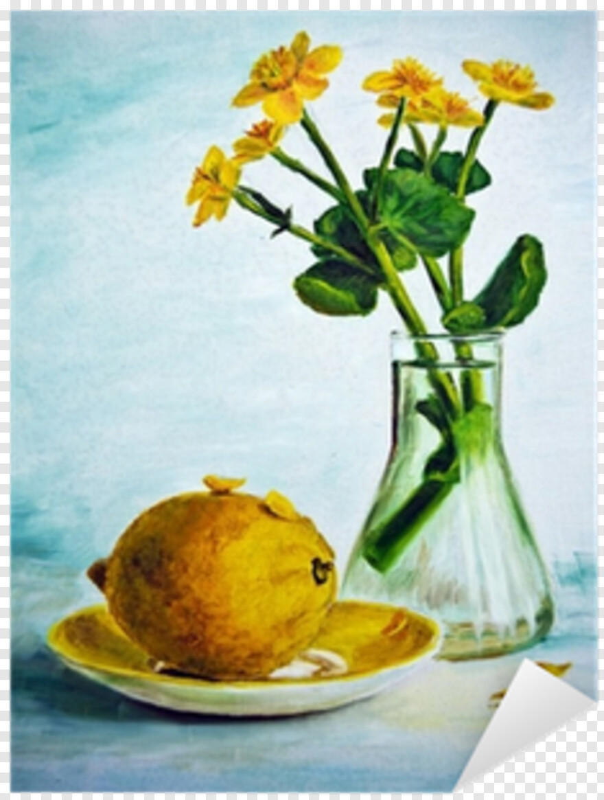 limon # 1072164