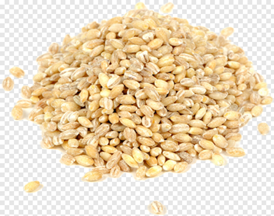 barley # 403035