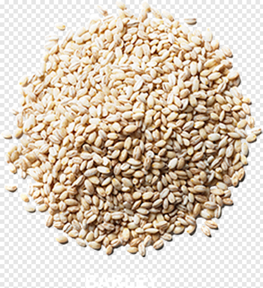 barley # 403031