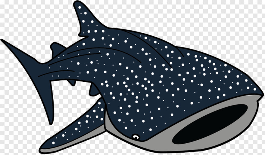 great-white-shark # 679548