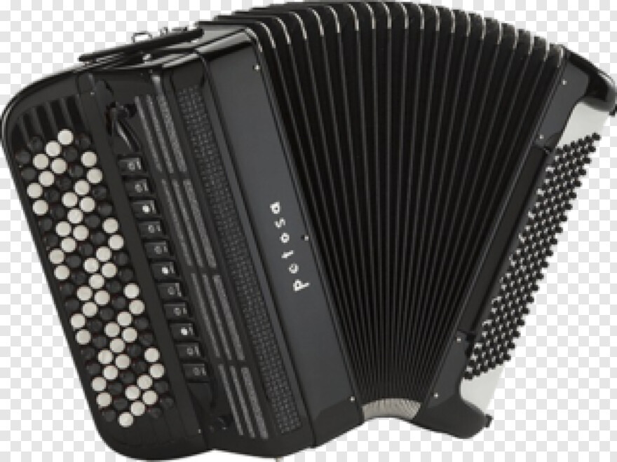 accordion # 577566