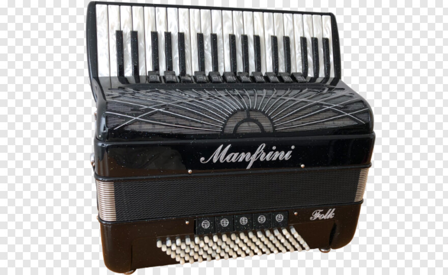 accordion # 577576