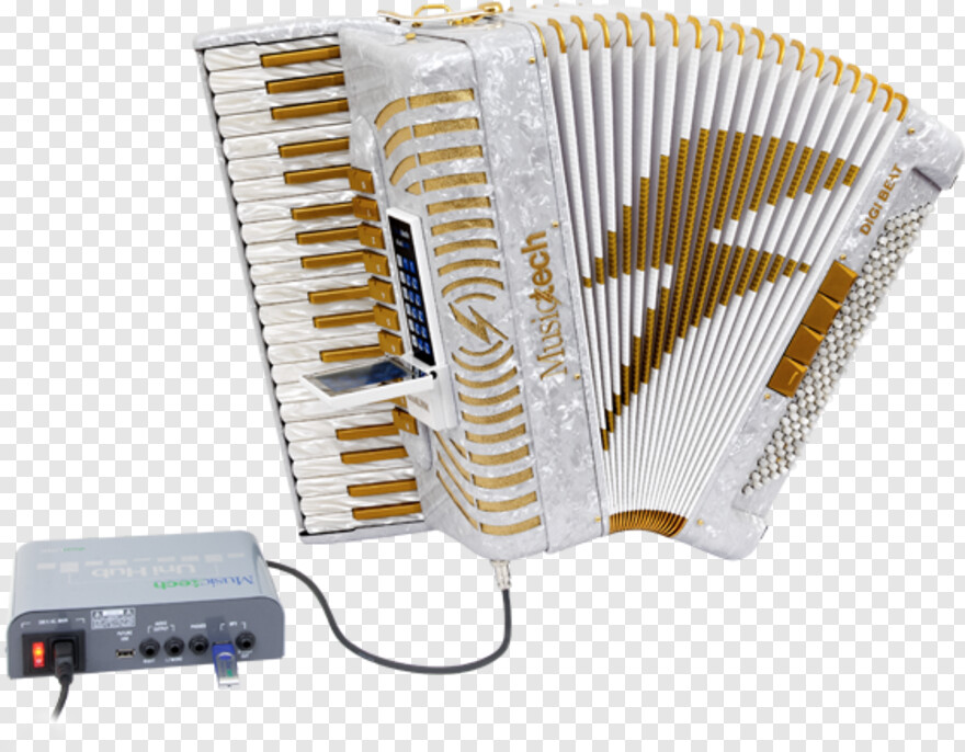 accordion # 577590