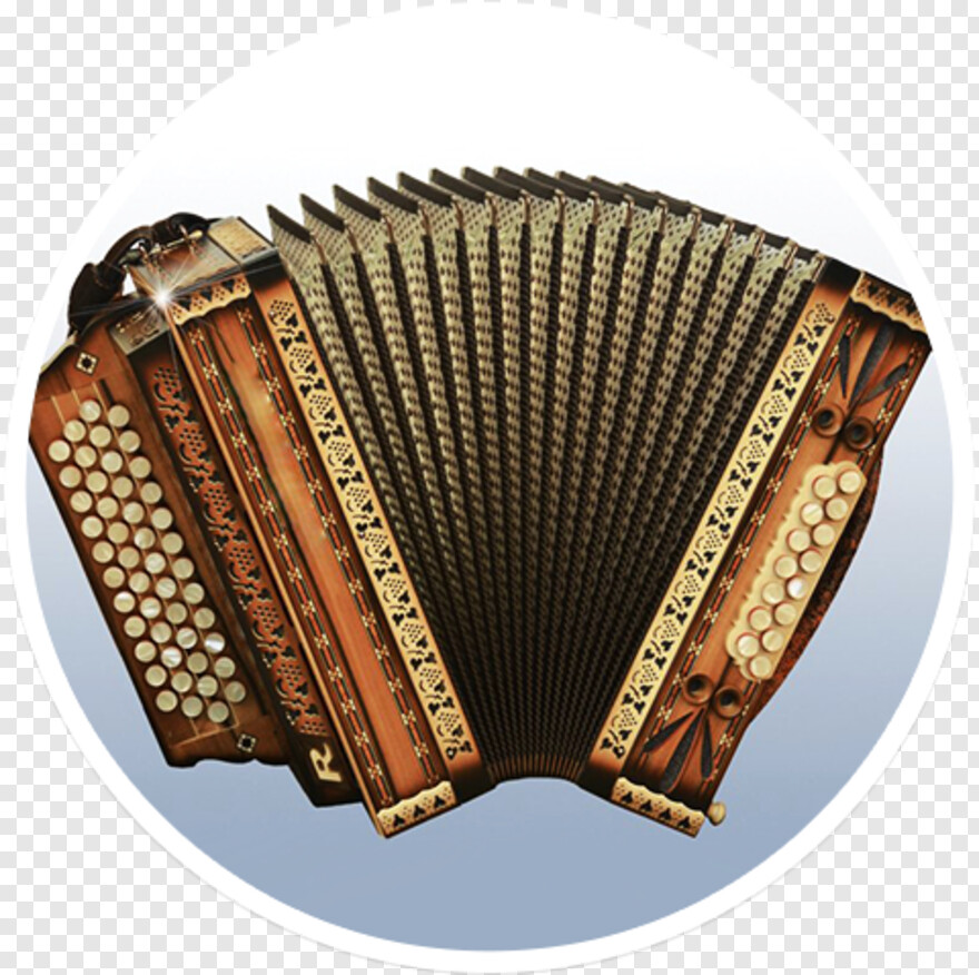 accordion # 577560