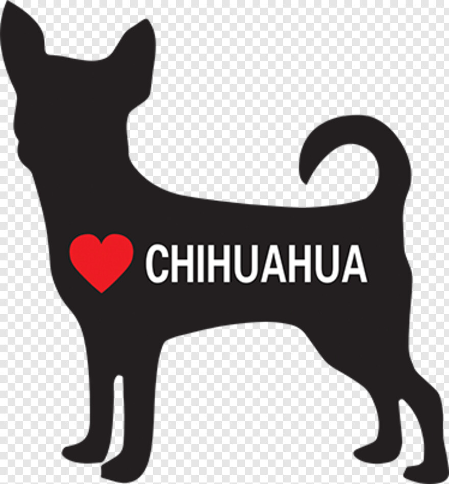 chihuahua # 1024952