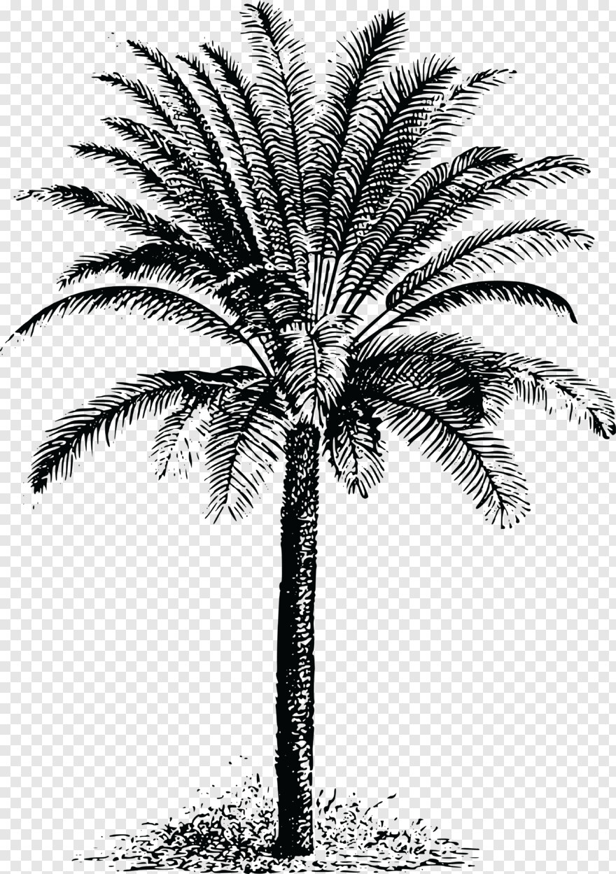palm-tree-emoji # 459167