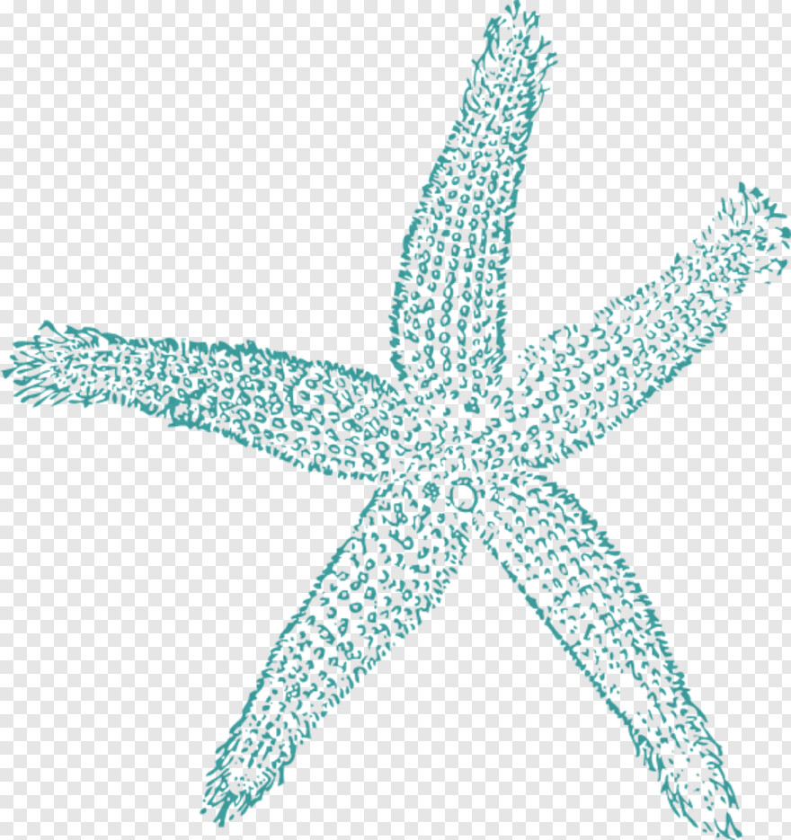 starfish-clipart # 612003