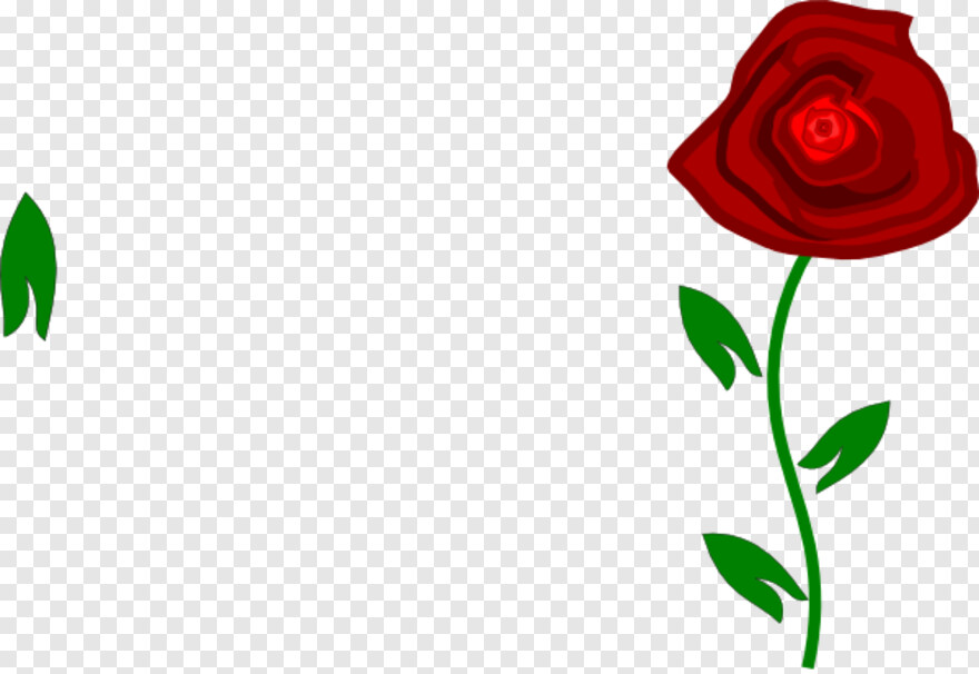 rose-flower-vector # 969581