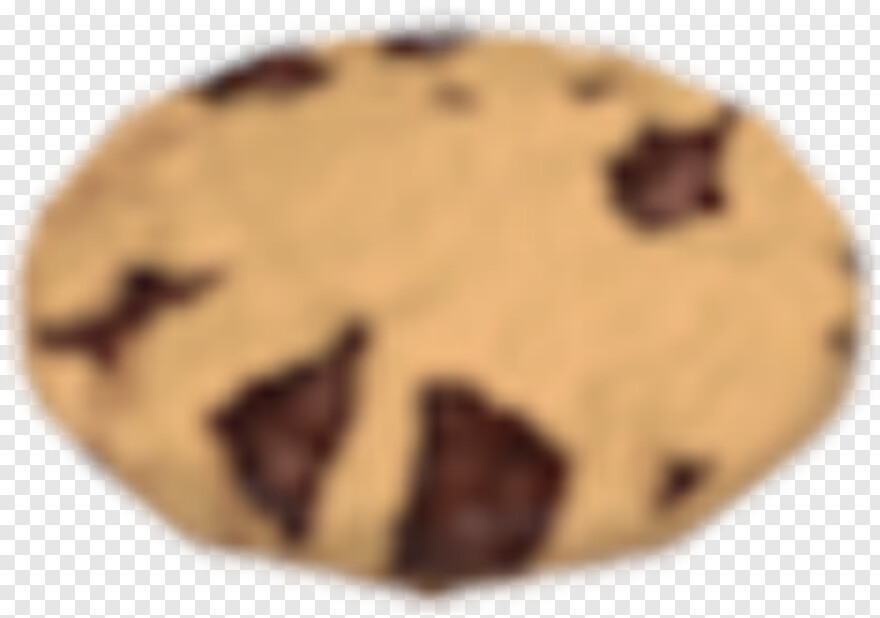 cookie # 1095169