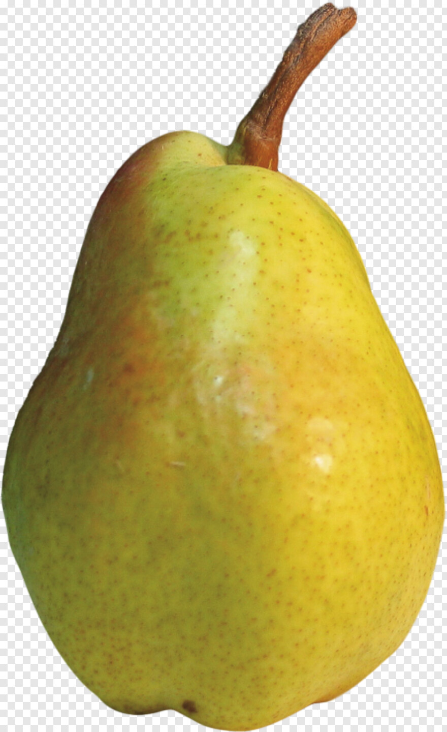 pear # 888121