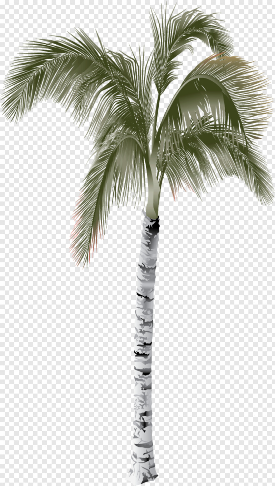 palm-tree-emoji # 459135