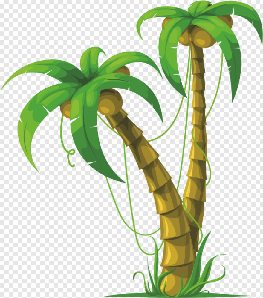 beach-coconut-tree # 459136