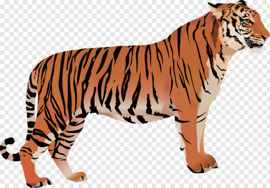 tiger-head # 372471