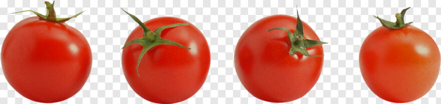 tomato-slice # 601312