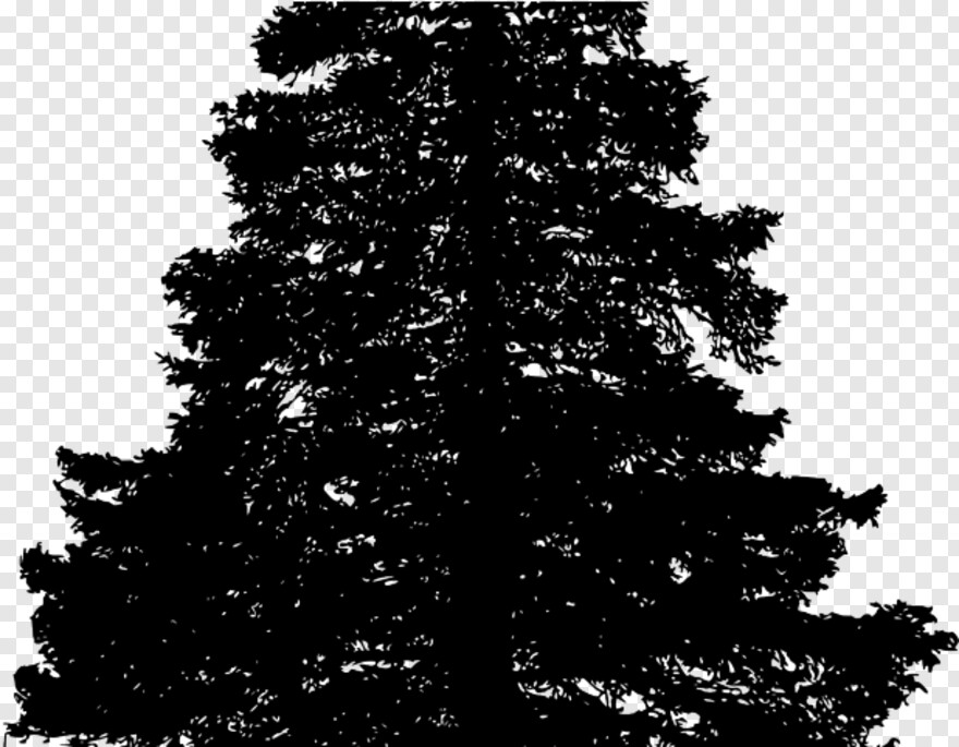 pine-tree-clip-art # 459112