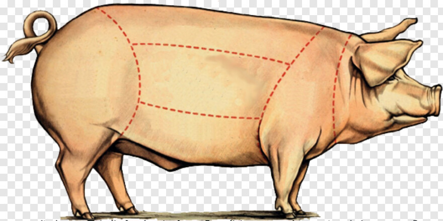 peppa-pig-logo # 367004