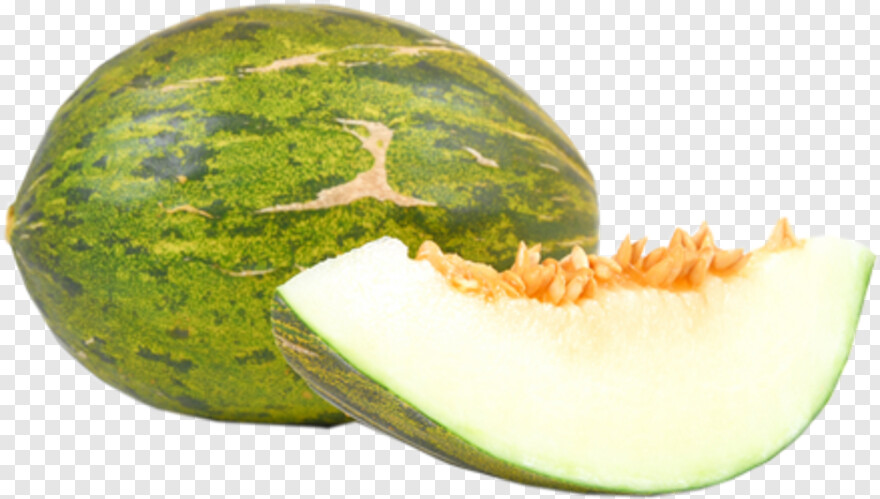 water-melon # 695587