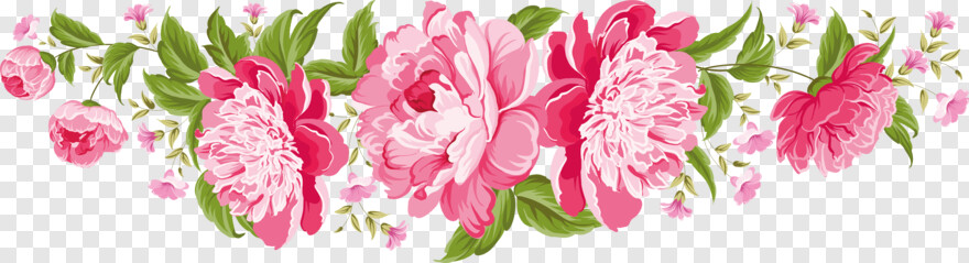 pink-rose-flower # 329163