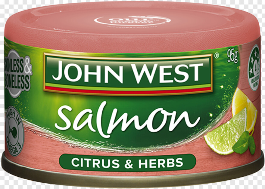 salmon # 1023100