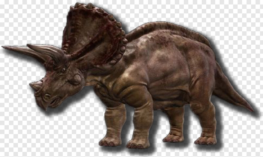 triceratops # 598803