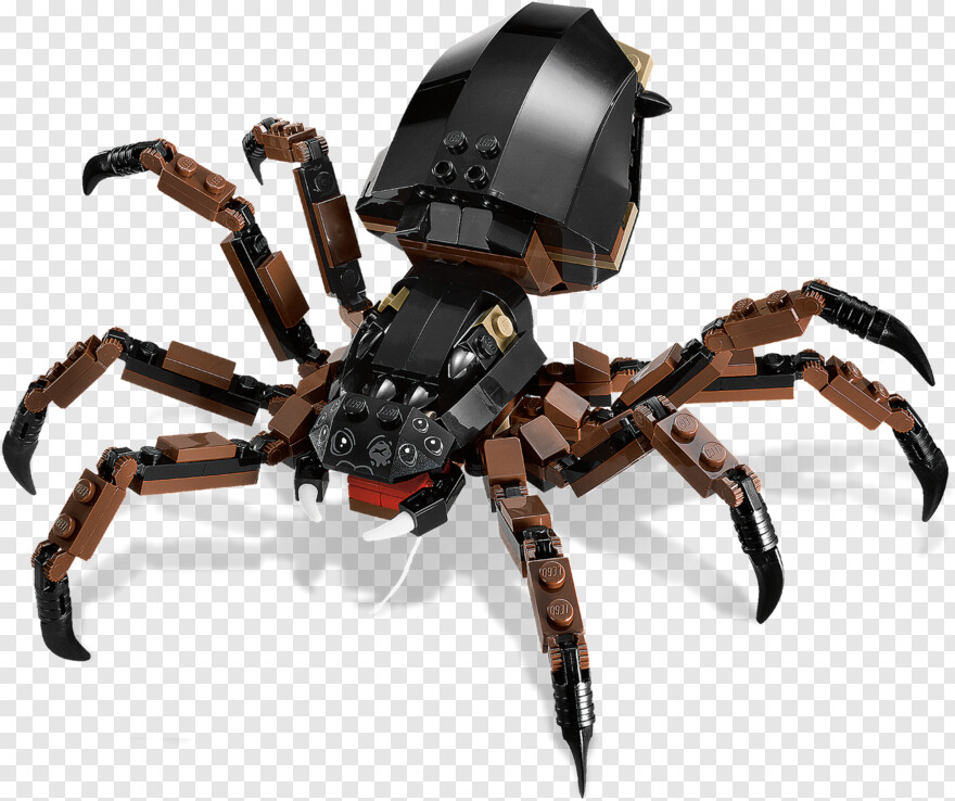 spider-webs # 452517