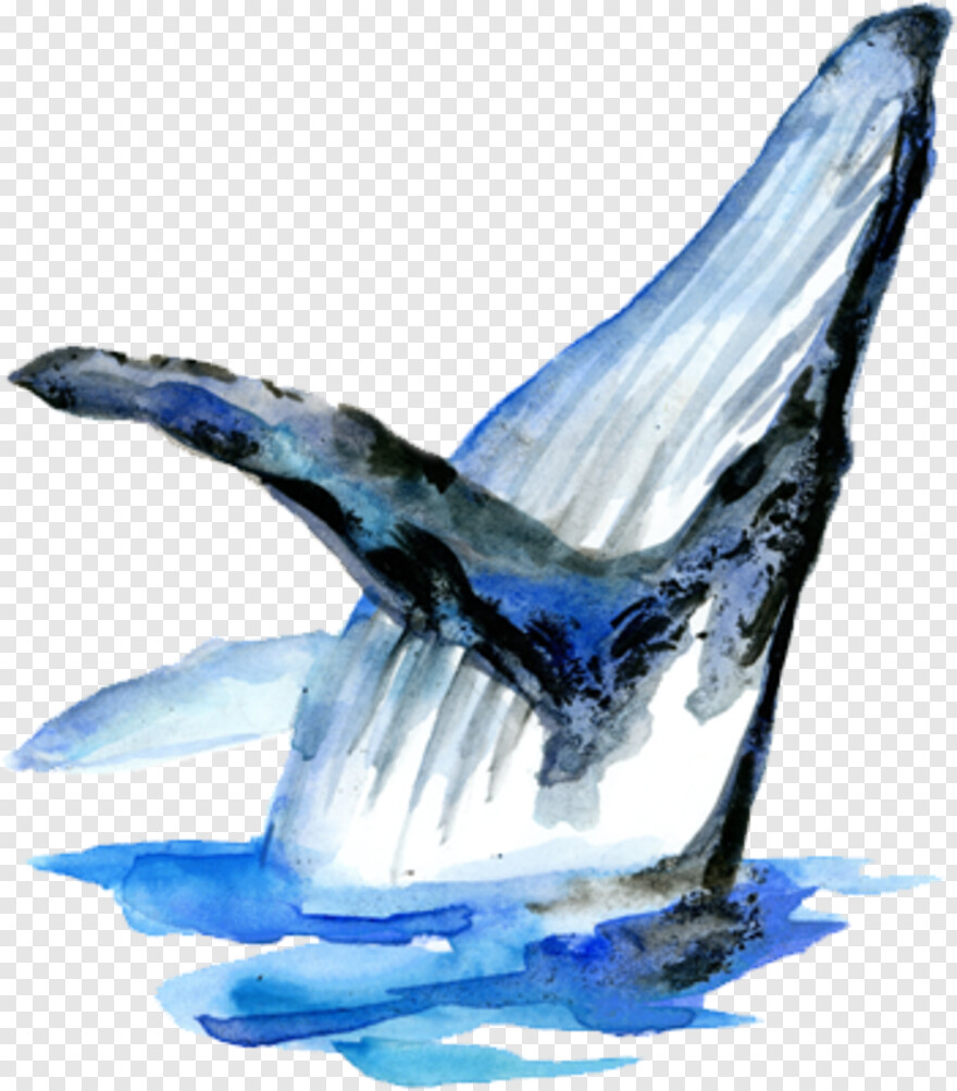 whale-clipart # 341330