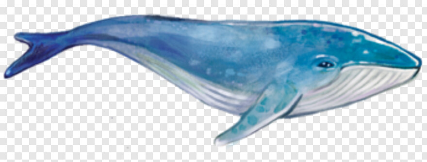 whale-clipart # 341325