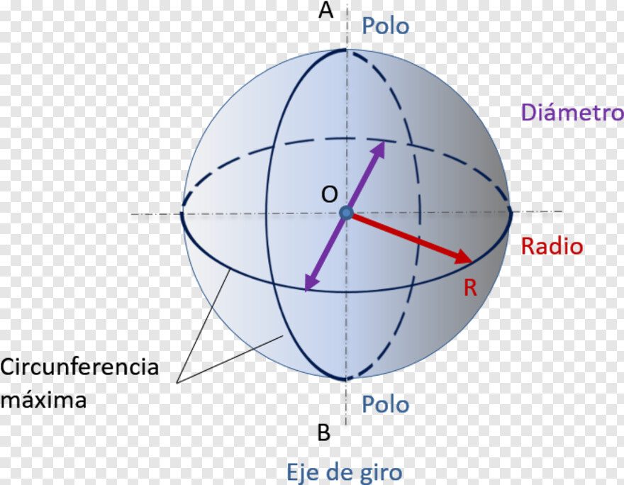 Cual es el diametro de una circunferencia