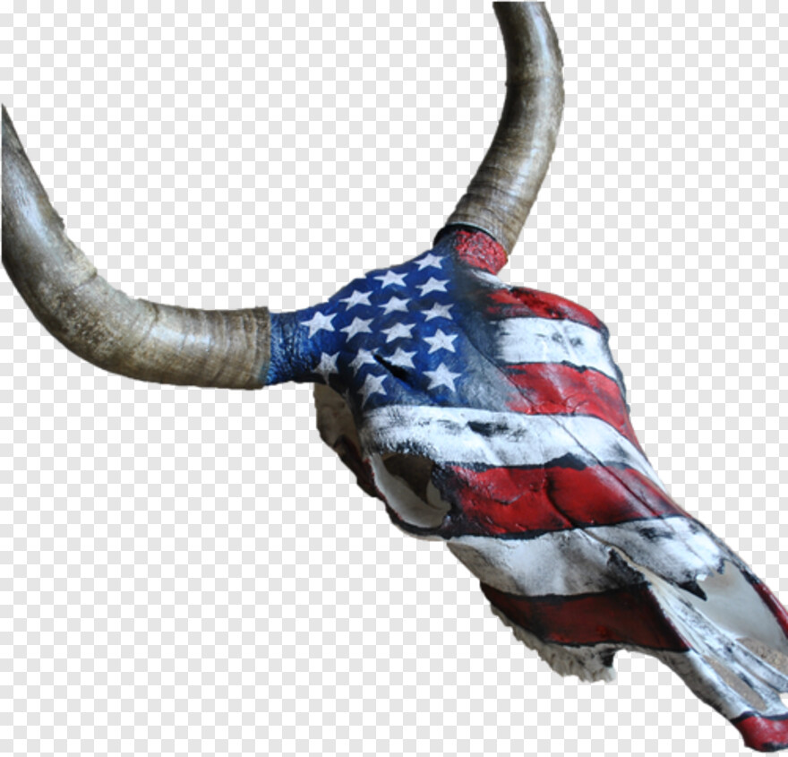  Bull Skull, Pirate Flag, Us Flag, The Last Of Us, Grunge American Flag, American Flag Clip Art