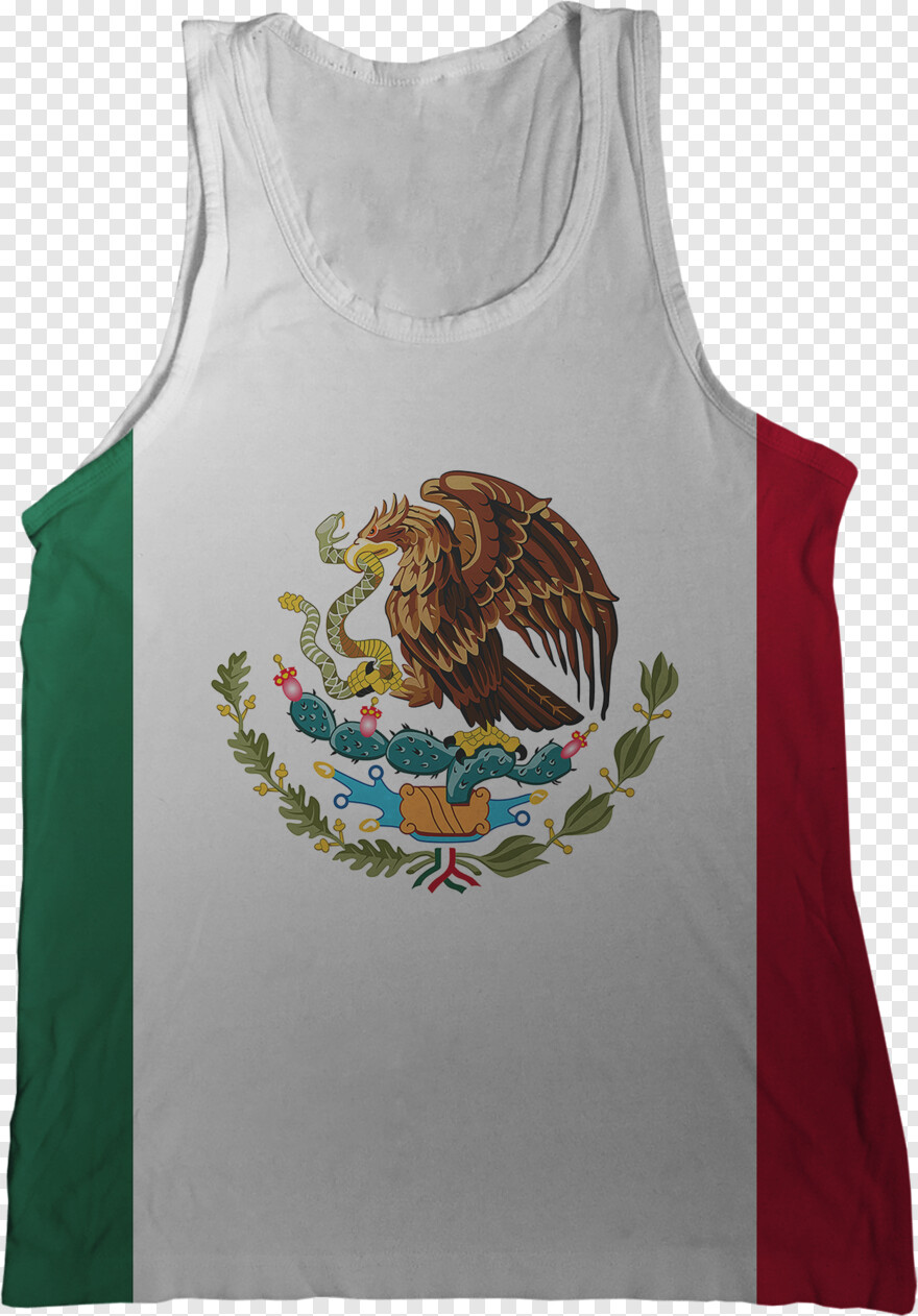 mexico-flag # 486896