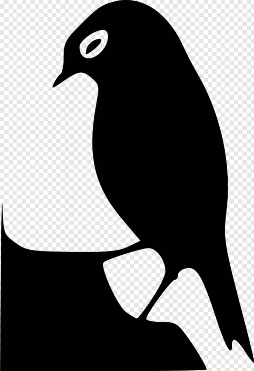  Drum Set, Tea Set, Big Bird, Twitter Bird Logo, Phoenix Bird, Bird Wings
