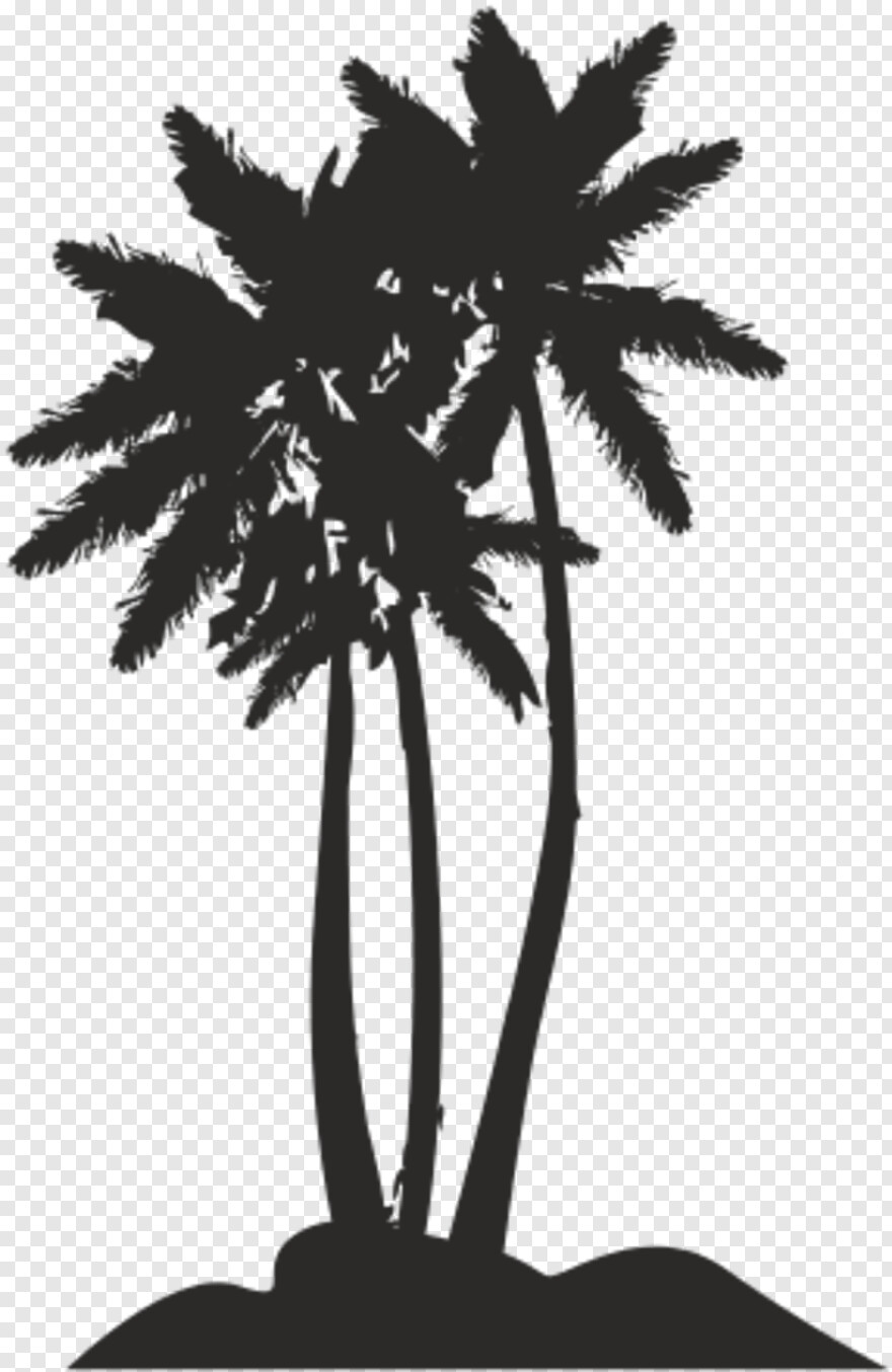 palmeras # 391028