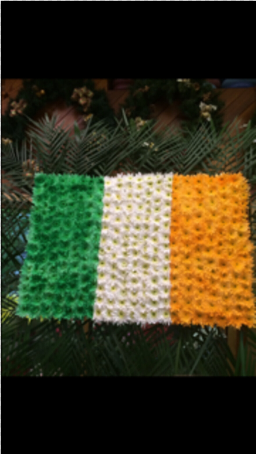 irish-flag # 830283