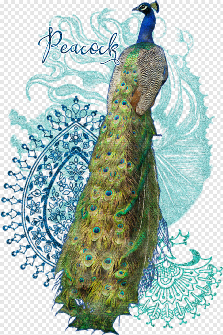 peacock # 489598
