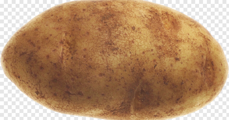 potato # 378642