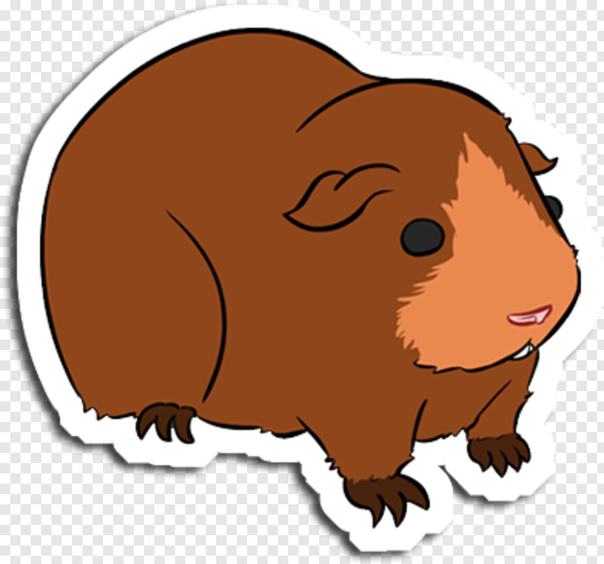 guinea-pig # 1057596