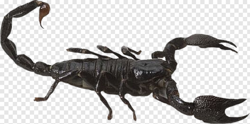  Mortal Kombat Scorpion, Scorpion