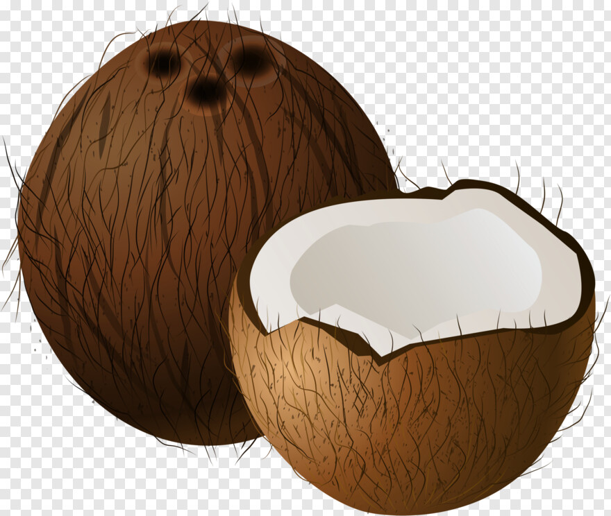 tender-coconut # 480048
