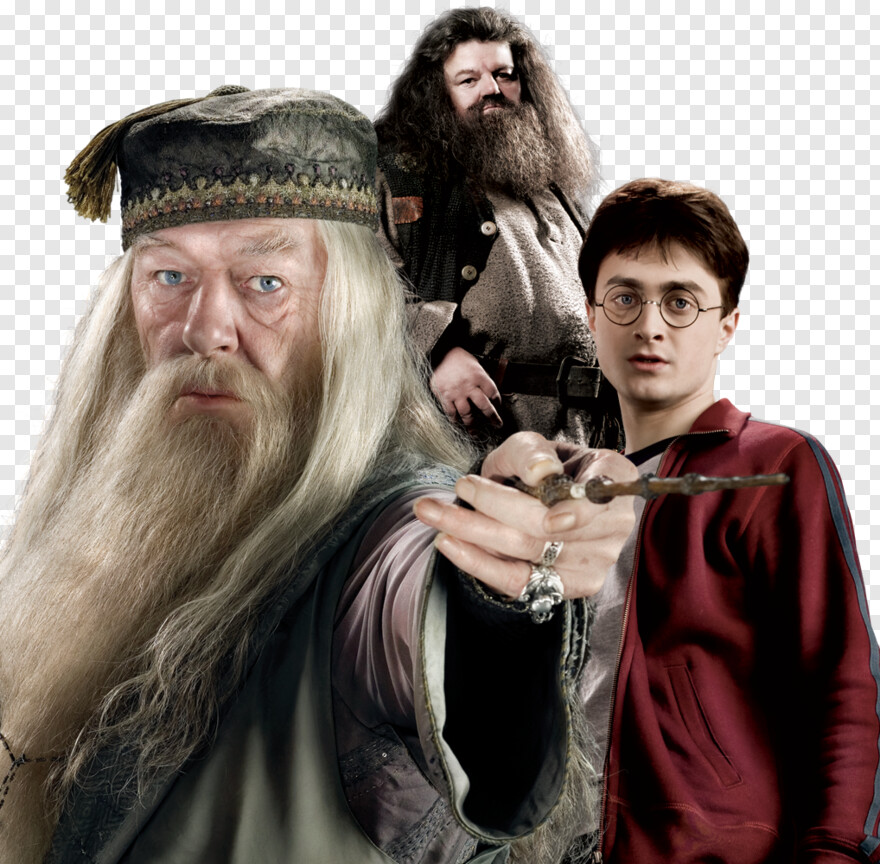 dumbledore # 879460