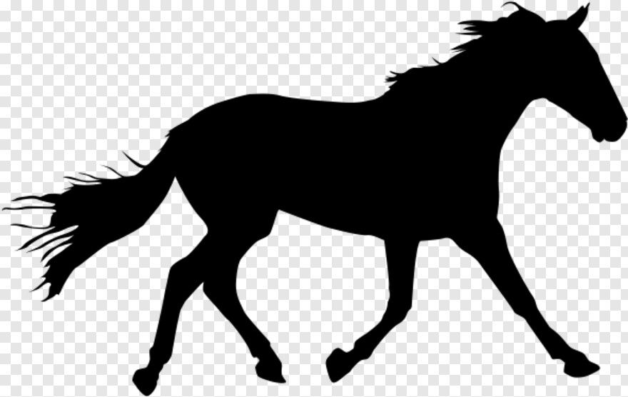  Horse Logo, Black Horse, Horse, Horse Head, Horse Mask, White Horse