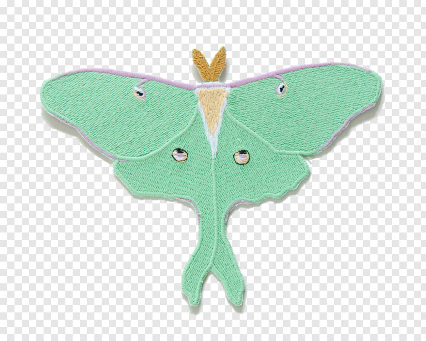 moth # 707819