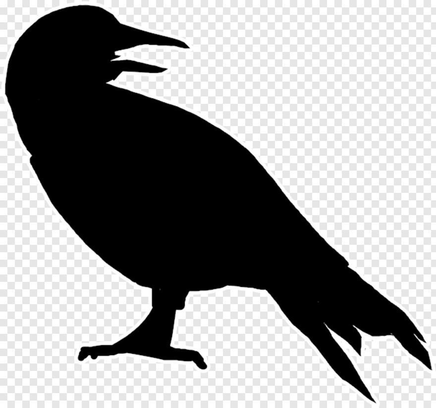crow-silhouette # 1075336