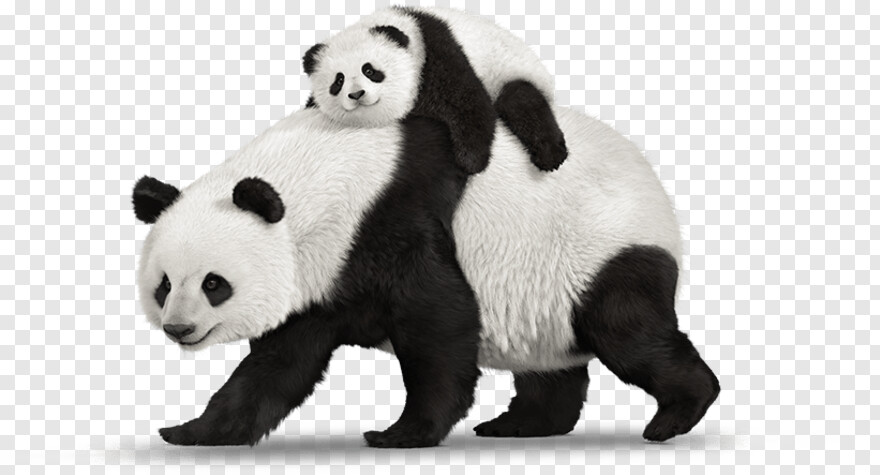 kung-fu-panda # 911191