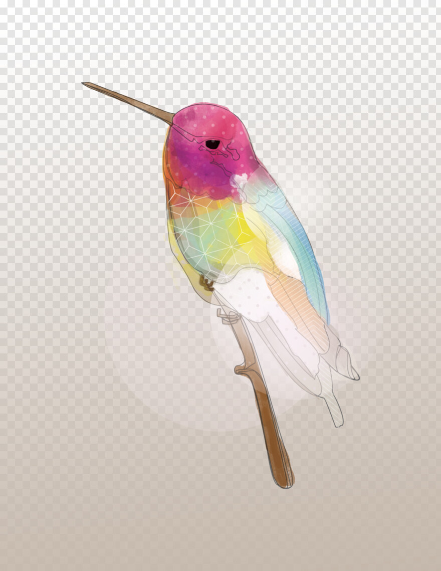 hummingbird # 754356