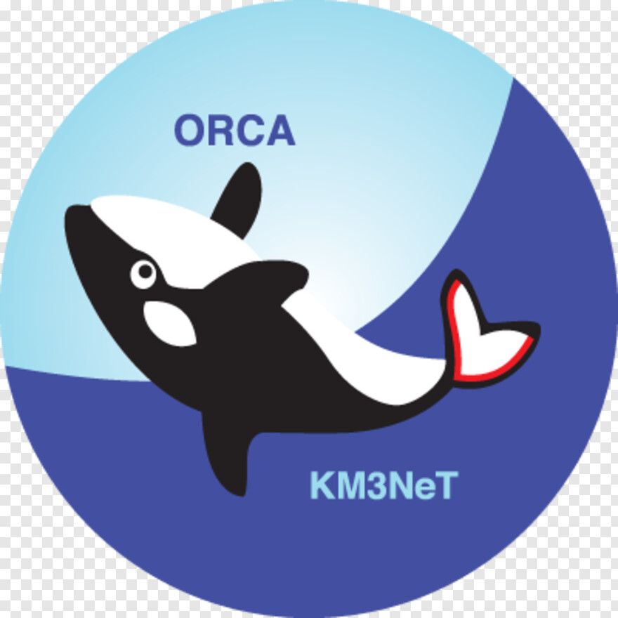 orca # 553158